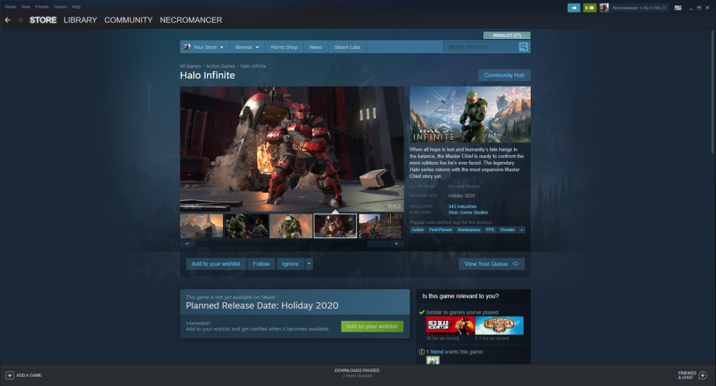 Halo Infinite Steam